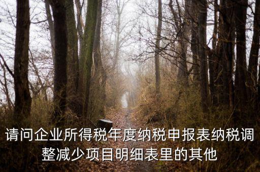 請問企業(yè)所得稅年度納稅申報表納稅調(diào)整減少項目明細(xì)表里的其他