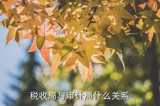 審計單位和稅務(wù)局有什么區(qū)別，審計同稅審有什么分別