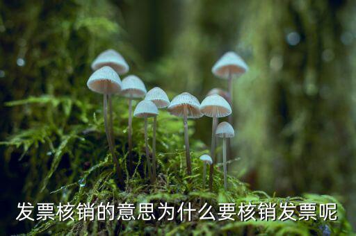 為什么要發(fā)票核銷，發(fā)票核銷的意思為什么要核銷發(fā)票呢