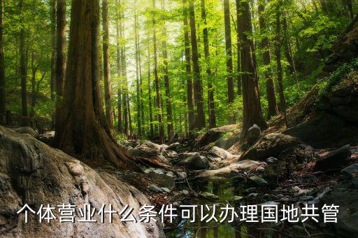 國地管戶類型是什么，國稅地稅共管戶