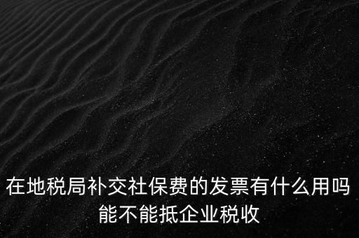 什么稅票能抵消社保費(fèi)用，輪渡費(fèi)后面有一張保險發(fā)票是可以抵扣的