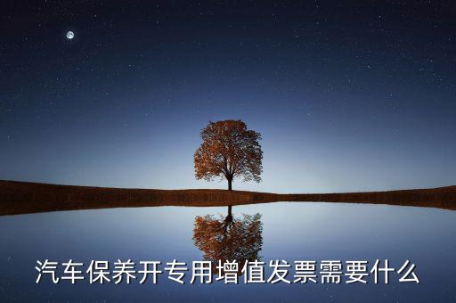 保險開專票需要什么，開增值票項目只開總一項行嗎保險公司要求開專票說要么按實際
