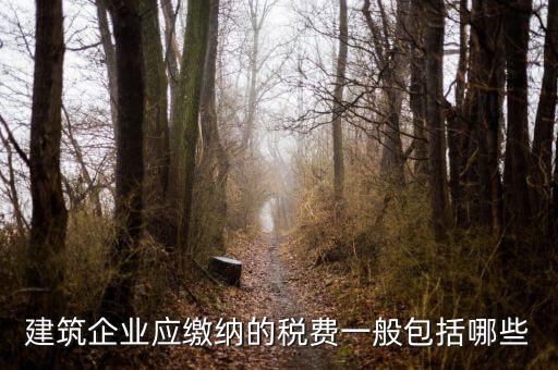 建筑企業(yè)應(yīng)繳納的稅費一般包括哪些