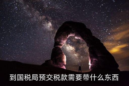 預(yù)繳稅金需要什么資料，到國稅局預(yù)交稅款需要帶什么東西