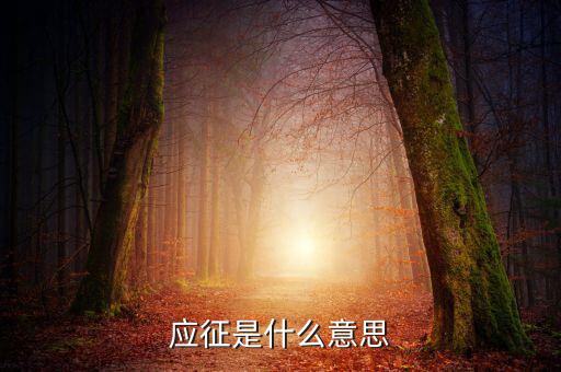 應(yīng)征發(fā)生日期什么意思，應(yīng)征的意思