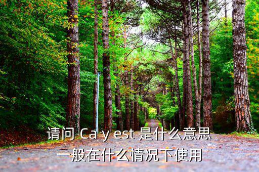 ca棒有什么作用是什么意思，CA的全稱是什么它的具體作用是什么
