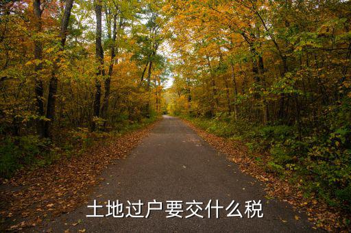 土地買賣交什么稅，土地買賣應交的稅項