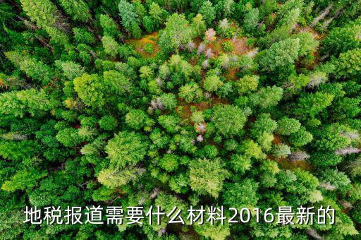 地稅報道需要什么，地稅報稅需要什么資料