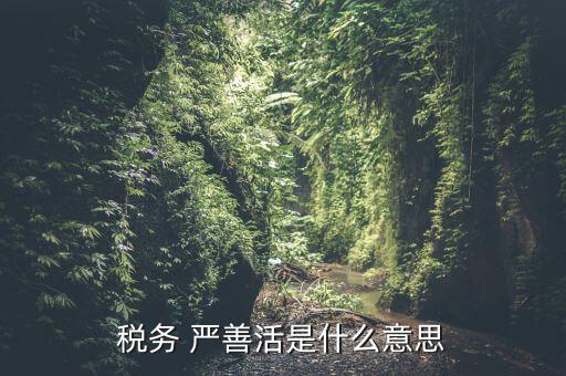 中國(guó)稅務(wù)精神是什么意思，稅務(wù)是什么意思啊學(xué)什么內(nèi)容
