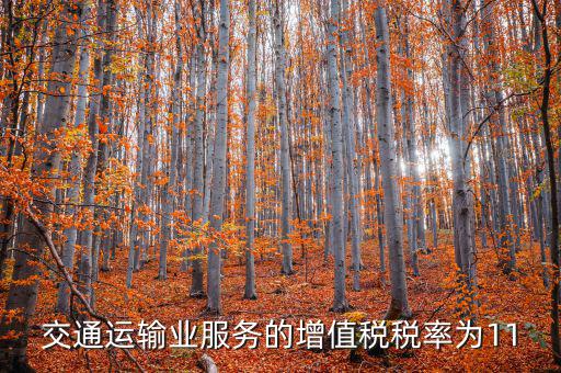 11稅率的服務(wù)包括什么，營改增后11個點稅包括哪些內(nèi)容