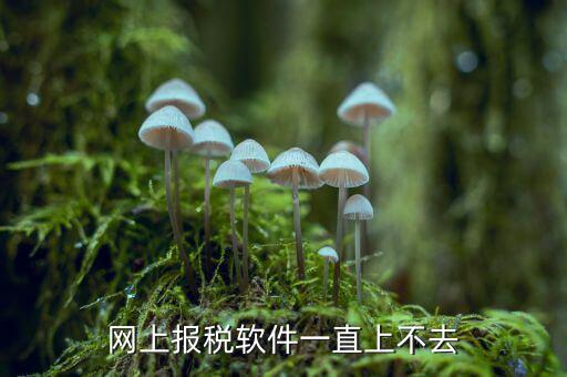 網(wǎng)上報稅軟件一直上不去