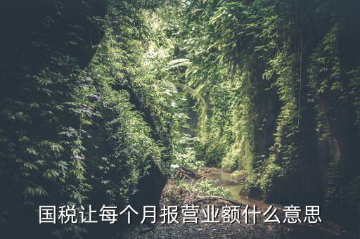 國稅每月報(bào)稅的是什么意思，請問每月抄稅和報(bào)稅各是什么意思