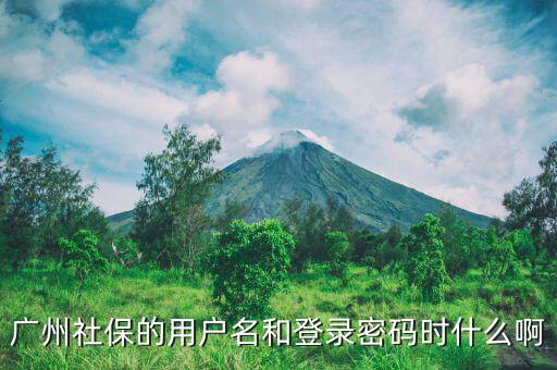 地稅社保用戶名是什么，南京這邊可以國稅扣稅款一個賬號基本戶地稅扣款比如社保