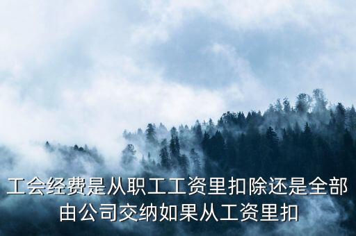 工會(huì)經(jīng)費(fèi)根據(jù)什么扣除，職工工會(huì)經(jīng)費(fèi)準(zhǔn)予扣除標(biāo)準(zhǔn)為多少