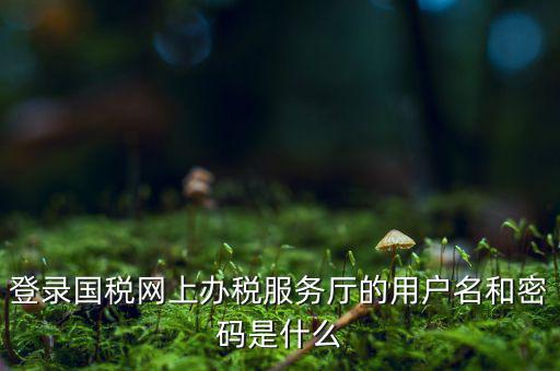 電子稅務密碼是什么，登錄國稅網上辦稅服務廳的用戶名和密碼是什么