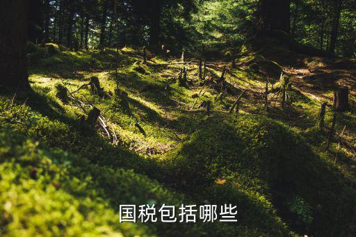 國家稅務(wù)局包括什么，國稅包括哪些