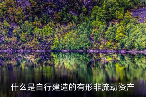 什么叫自建不動(dòng)產(chǎn)，自建不動(dòng)產(chǎn)不共擔(dān)風(fēng)險(xiǎn)的投資行為
