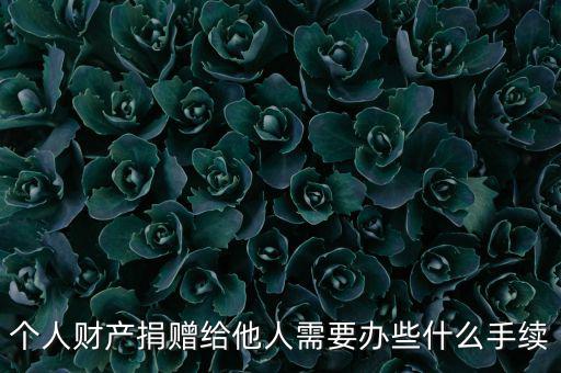 個人財(cái)產(chǎn)捐贈給他人需要辦些什么手續(xù)