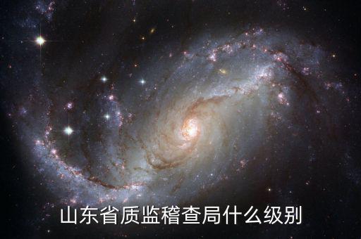 稽查局什么級(jí)別，山東省質(zhì)監(jiān)稽查局什么級(jí)別