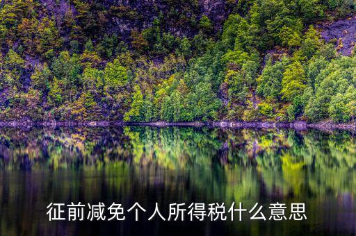 減免所得稅是什么意思，征前減免個人所得稅什么意思
