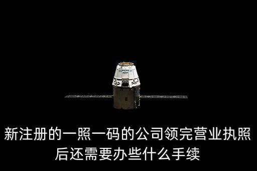 一照一碼后還需辦什么，網(wǎng)上申請一照一碼必須要經(jīng)辦人的U盾嗎