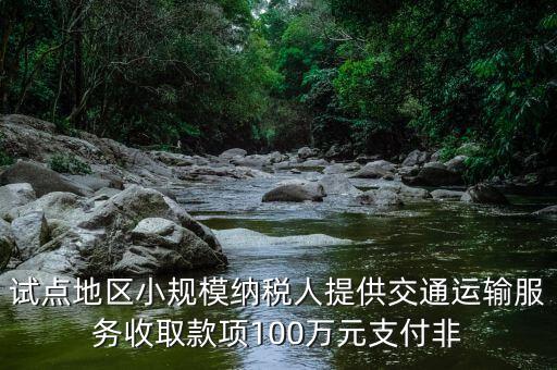 什么向試點地區(qū)納稅人支付費用，4試點地區(qū)內(nèi)一般納稅人向試點地區(qū)內(nèi)一般納稅人支付費用取得增值