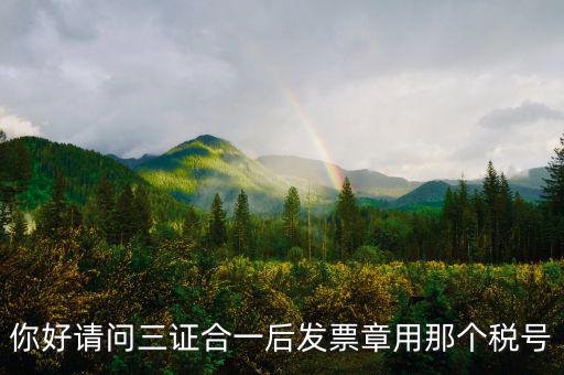 你好請問三證合一后發(fā)票章用那個(gè)稅號(hào)