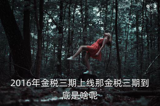 金稅三期包括什么，金稅三期是什么意思