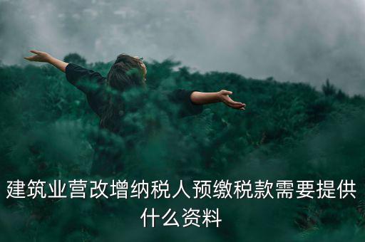 預(yù)繳稅款要什么資料，到國稅局預(yù)交稅款需要帶什么東西