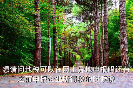 什么叫異地稅，想請問地稅可以在網(wǎng)上異地申報嗎還有之前申報企業(yè)所得稅的時候說