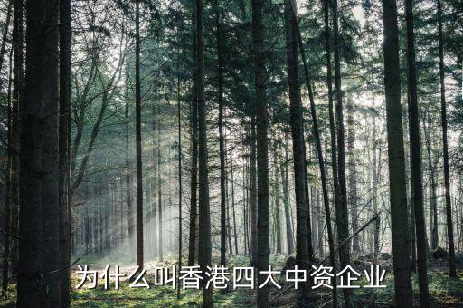 什么叫中資控股企業(yè)，為什么叫香港四大中資企業(yè)