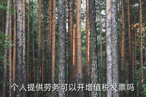 什么是個人勞務(wù)發(fā)票嗎，個人開工程勞務(wù)費發(fā)票是在工程所在地開具嗎