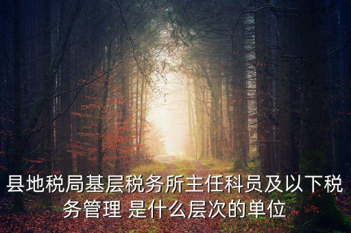 地稅局主任干什么，在地稅局工作寫材料具體是怎么工作
