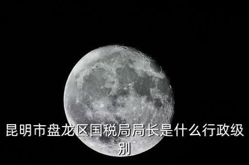 國家稅務(wù)局局長是什么級別，地級市的國稅局局長是什么干部
