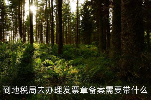 去地稅局備案需要什么，地稅備案需要什么資料