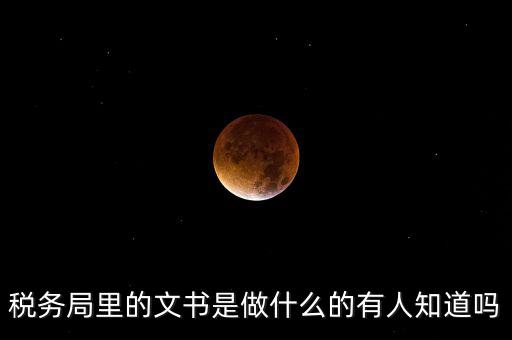 稅務(wù)文書是什么，急需稅務(wù)文書格式