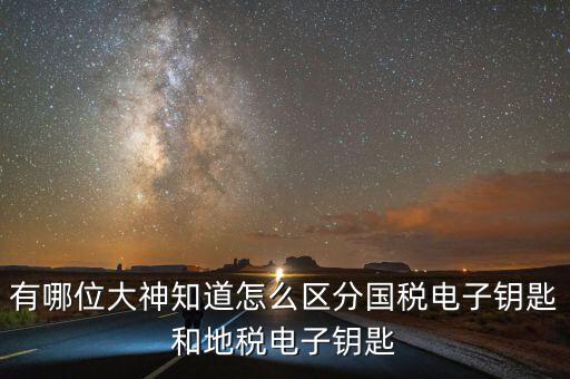 國稅電子鑰匙是什么，稅務密鑰是什么東西是數(shù)字證書嗎