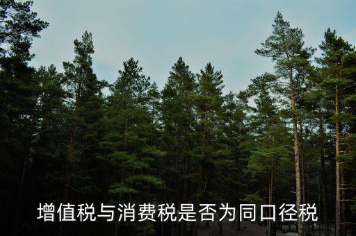 稅收可比口徑什么意思，稅收比重什么意思