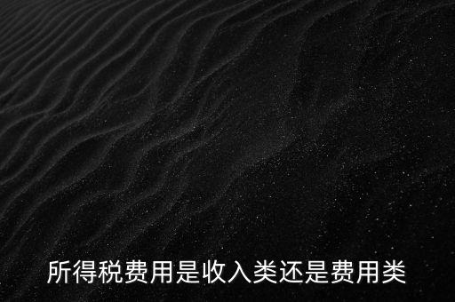 所得稅屬于什么費用，所得稅費用是收入類還是費用類
