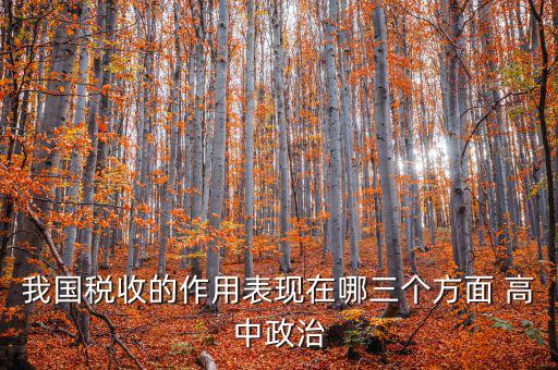 我國稅收的作用表現(xiàn)在哪三個(gè)方面 高中政治