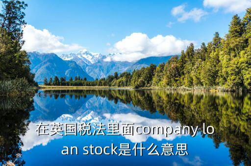 英國出國稅 是什么意思，在英國稅法里面company loan stock是什么意思