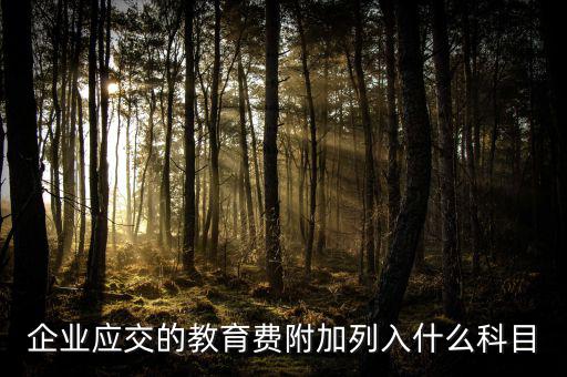 教育費附加干什么，教育費附加代表什么意思