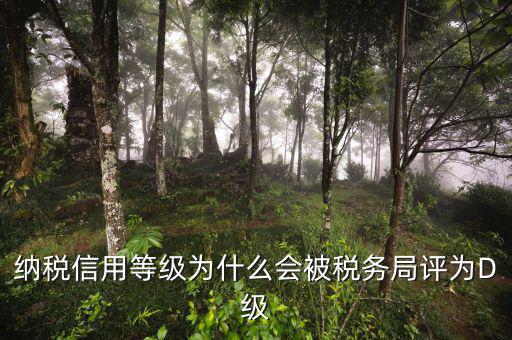 稅務(wù)評(píng)級(jí)有什么用，納稅信用等級(jí)為什么會(huì)被稅務(wù)局評(píng)為D級(jí)