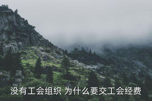 為什么要繳納工會(huì)經(jīng)費(fèi)，什么情況下公司要成立工會(huì)且要交工會(huì)經(jīng)費(fèi)