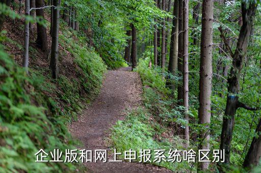 為什么要用單機(jī)版報(bào)稅，網(wǎng)上報(bào)個(gè)人所得稅填寫(xiě)的步驟