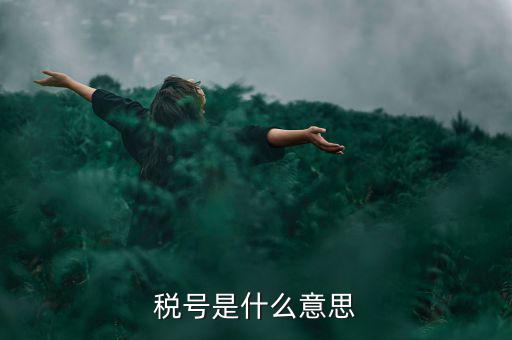 納稅號碼是什么意思，稅號是什么意思