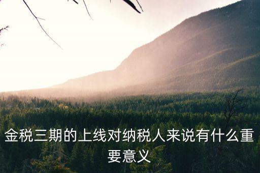 金稅三期的重點(diǎn)是什么意思，金稅三期是什么意思