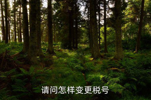 請問怎樣變更稅號