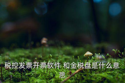 稅控系統(tǒng)指什么，稅控發(fā)票開票軟件 和金稅盤是什么意思