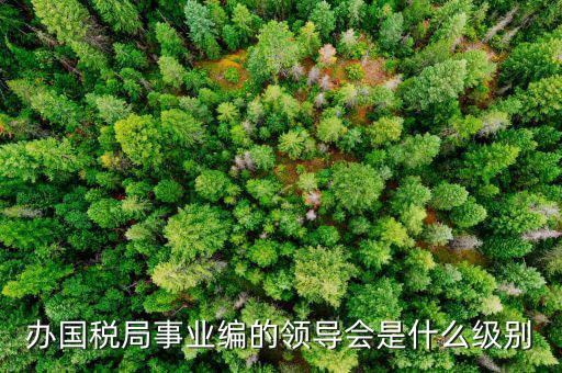 國稅局主任是什么職位，國稅局辦公室人員